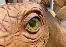 Die Dinos Erobern Jena 0002